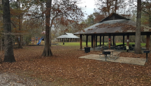 A park scene with picnic pavilions, a playground, and scattered autumn leaves on the ground.