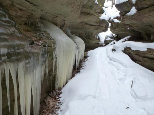 Icicles hang from rocky cliffs beside a snowy path in a narrow canyon.
