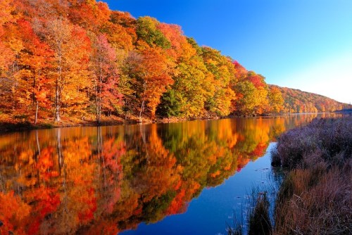 A serene river reflects vibrant autumn foliage along a colorful tree-lined bank under a clear blue sky.