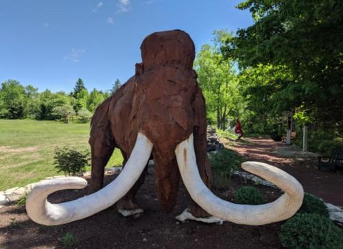 A large, rust-colored mammoth sculpture with white tusks stands in a green park surrounded by trees.