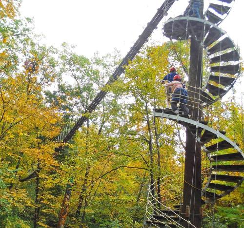 A spiral staircase in a forest, with people climbing among vibrant autumn foliage.