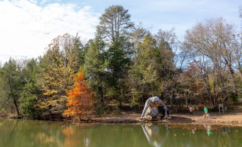 A serene lakeside scene with colorful autumn trees and people near a large rock formation.