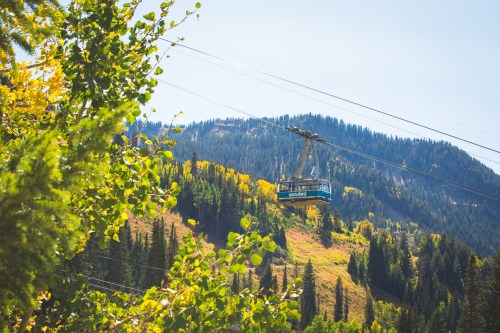 A gondola travels above colorful autumn trees on a mountain landscape under a clear blue sky.