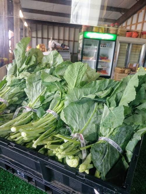 Fresh collard greens bundled in a crate, displayed in a market with a cooler in the background.