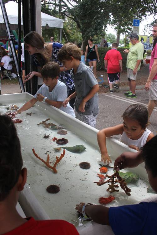 Children explore a touch tank filled with marine life at an outdoor event, with adults and other activities in the background.