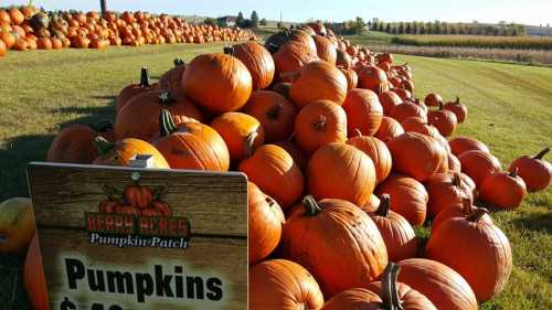 A large pile of orange pumpkins in a field, with a sign reading "Pumpkins $4.00" in the foreground.