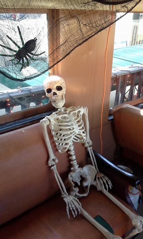 A skeleton sits on a couch, with a spider decoration and cobwebs in the background, creating a spooky atmosphere.