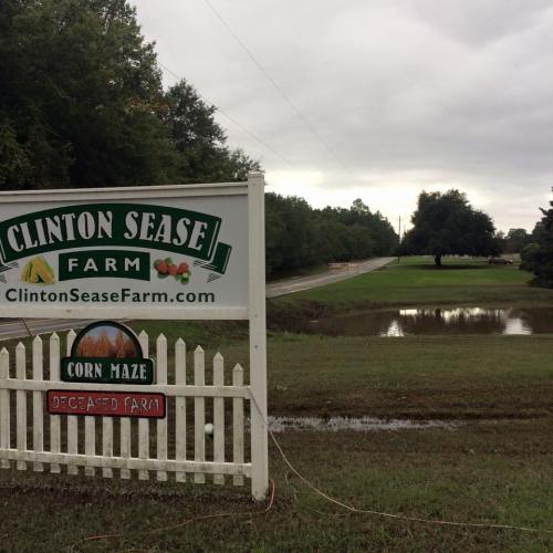 Sign for Clinton Sease Farm with a corn maze, near a flooded area and a road lined with trees under a cloudy sky.