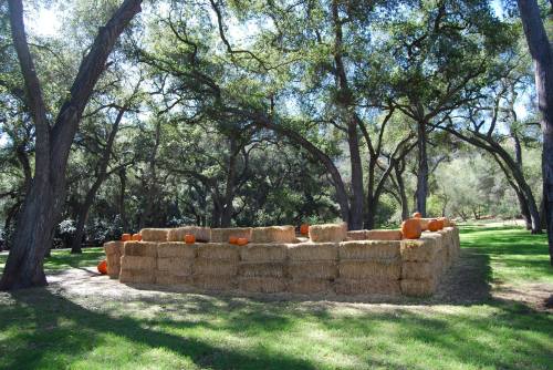 A sunny outdoor scene featuring a hay bale structure with pumpkins scattered on top, surrounded by trees.