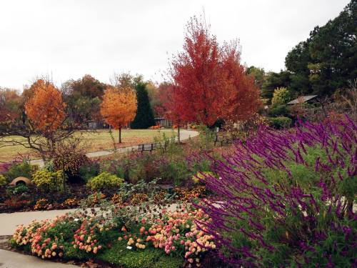 A vibrant garden in autumn, featuring colorful flowers and trees with red and orange leaves under a cloudy sky.