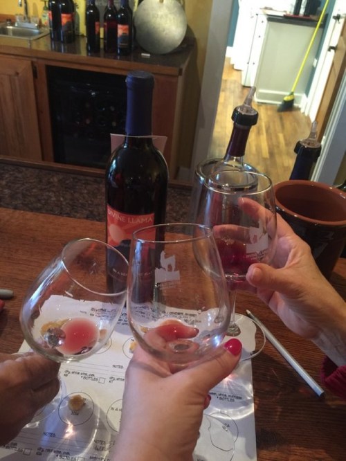 Three hands holding wine glasses in a toast, with a bottle of "Divine Llama" wine in the background.