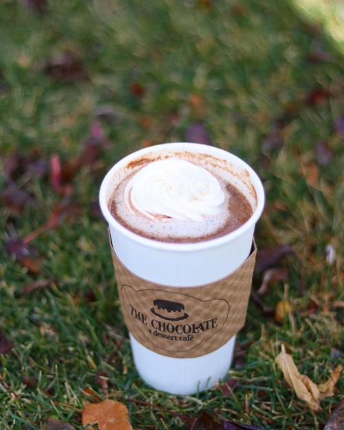A cup of hot chocolate topped with whipped cream, placed on grass with fallen leaves around it.