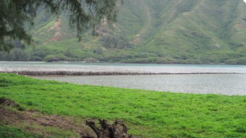 Lush green hills rise above a calm bay, with a rocky shoreline and vibrant vegetation in the foreground.