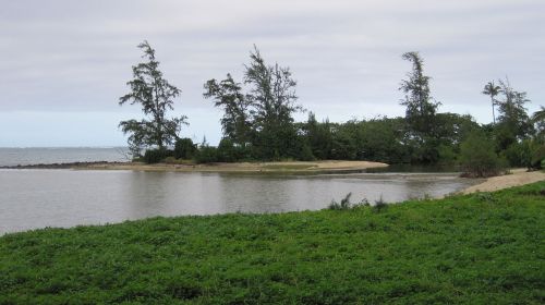 A serene coastal scene with a sandy shore, lush greenery, and trees near calm waters under a cloudy sky.
