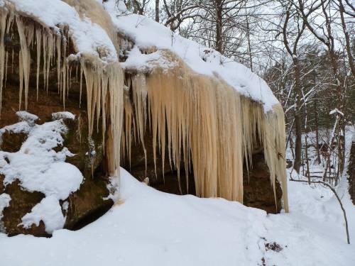 Icicles hang from a snow-covered rock face, surrounded by a winter landscape of trees and fresh snow.