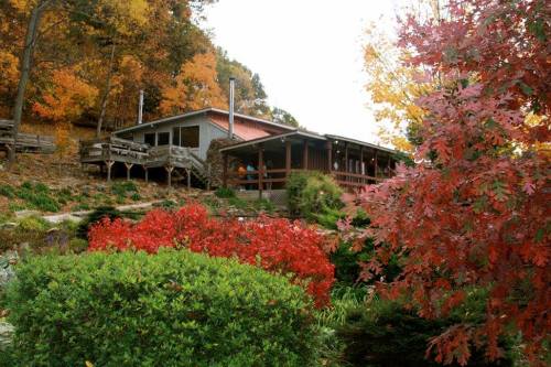A cozy cabin surrounded by vibrant autumn foliage and colorful shrubs, set against a hillside.