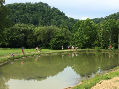 A serene pond surrounded by lush greenery, with people enjoying the outdoors along the water's edge.