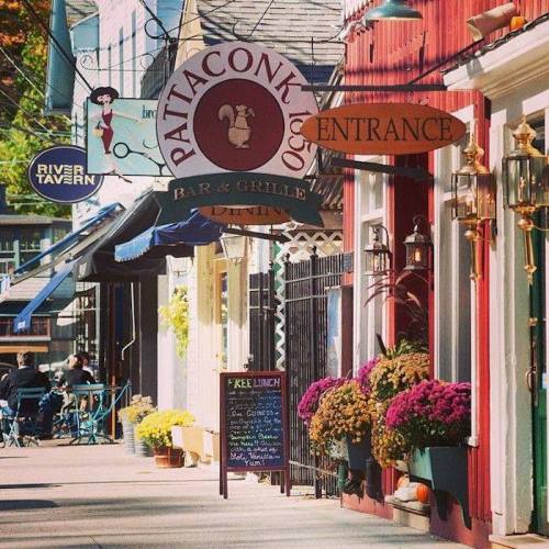 Charming street scene with colorful storefronts, signs, and flower pots in a quaint town.