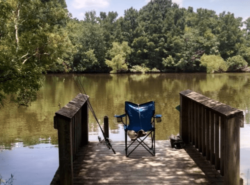 A fishing chair on a wooden dock by a calm lake, surrounded by lush greenery and a clear blue sky.