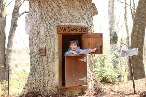 A young boy peeks out from a wooden treehouse with a sign that reads "Mr. Sanders" in a forested area.