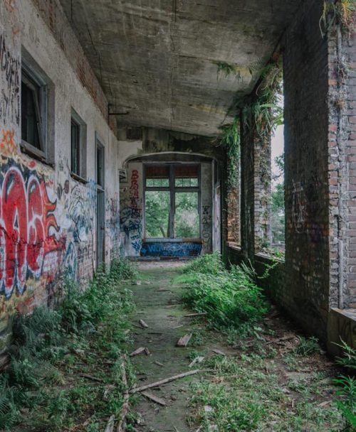 Abandoned corridor with overgrown plants and colorful graffiti on the walls, featuring broken windows and a rustic atmosphere.
