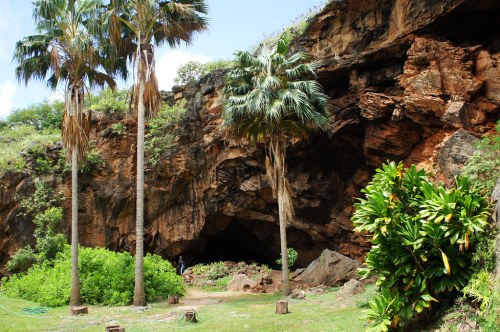 A rocky cave entrance surrounded by lush greenery and tall palm trees under a bright blue sky.