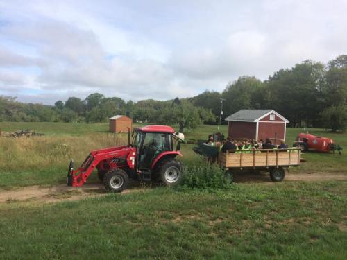 A red tractor pulls a wooden trailer through a grassy field, with a small barn and trees in the background.