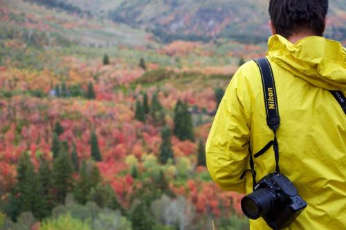 A person in a yellow jacket stands overlooking a vibrant autumn landscape filled with colorful trees.