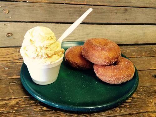 A green plate with three cinnamon sugar donuts and a cup of creamy ice cream with a spoon.