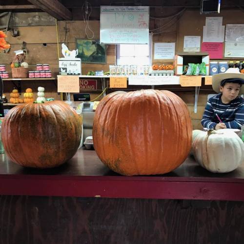 A rustic market display with large pumpkins, including orange and white varieties, and a child sitting nearby.