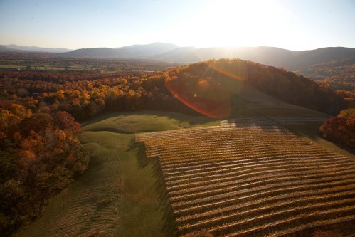 Aerial view of a vineyard at sunset, surrounded by autumn foliage and rolling hills.