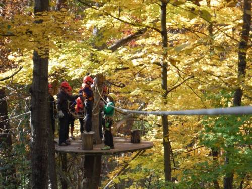 A group of people in helmets stands on a wooden platform among vibrant autumn trees, preparing for a zip line.