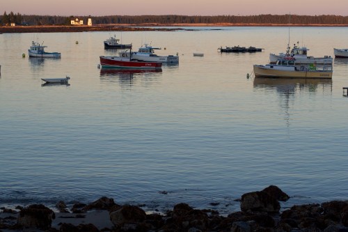 A serene harbor at sunset with various boats anchored in calm waters, surrounded by rocky shorelines and trees.