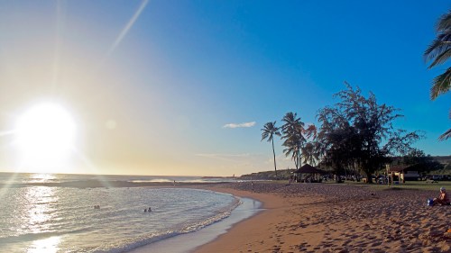 A serene beach scene at sunset, with gentle waves, palm trees, and people enjoying the water.