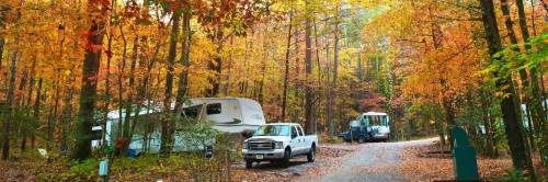 Two RVs parked in a colorful autumn forest with vibrant orange and yellow leaves. A winding dirt road leads through the scene.