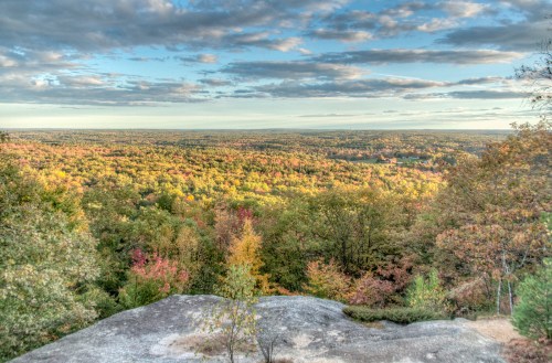 A panoramic view of a colorful forest landscape under a cloudy sky, showcasing vibrant autumn foliage.