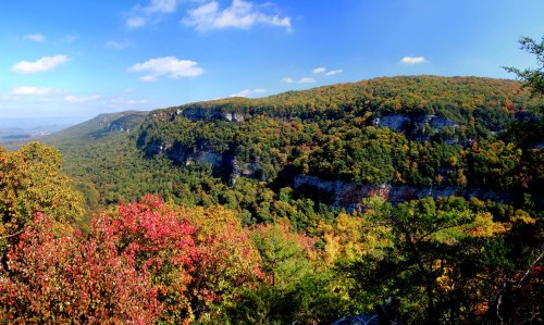 A panoramic view of a colorful forested landscape with autumn foliage under a bright blue sky.
