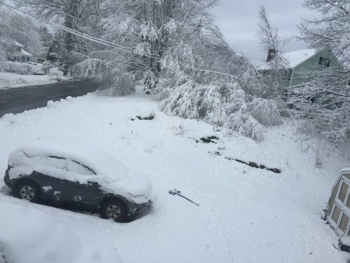 A snowy scene with a covered car, a snow-laden tree, and a quiet street in a residential area.