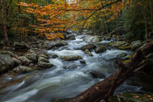 A serene river flows through a forest, surrounded by colorful autumn leaves and smooth rocks.