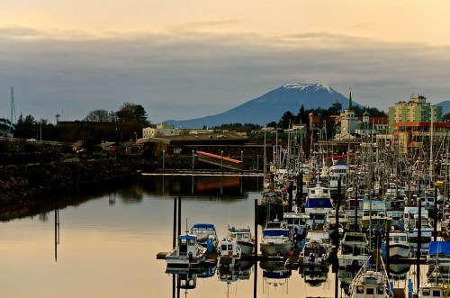 A serene harbor filled with boats, reflecting the sky, with a snow-capped mountain in the background.