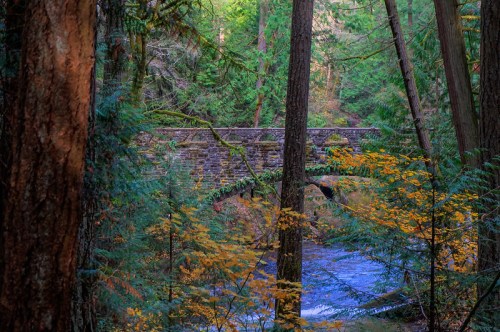 A stone bridge arches over a river, surrounded by lush green trees and autumn foliage in a serene forest setting.