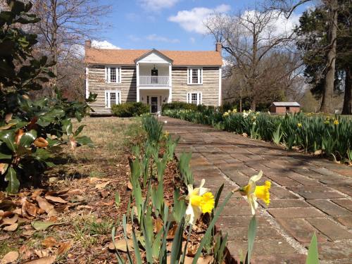 A historic two-story house with a front porch, surrounded by blooming daffodils and a brick pathway under a blue sky.