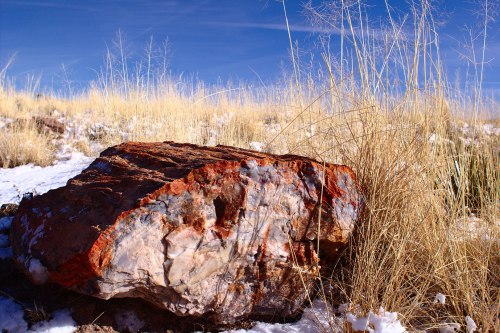 A large, colorful rock sits among tall, dry grass under a clear blue sky. Snow is visible on the ground.