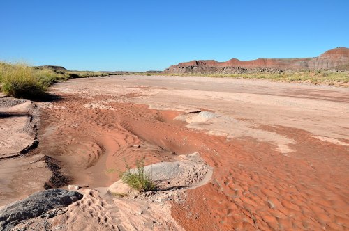 A dry riverbed with sandy soil and sparse vegetation, surrounded by rocky hills under a clear blue sky.