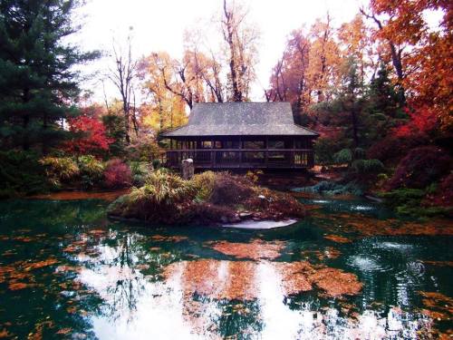 A serene pond surrounded by autumn foliage, featuring a wooden gazebo and colorful leaves reflecting on the water.