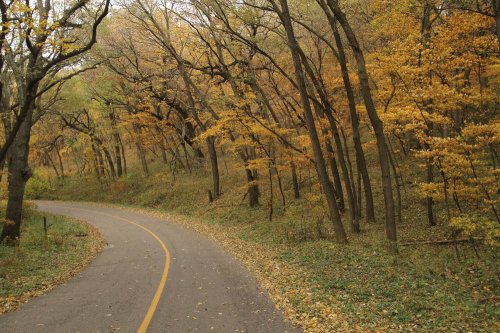 A winding road through a forest with trees displaying autumn colors of yellow and orange.