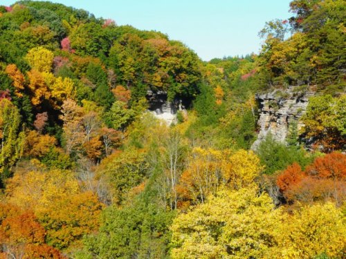 A vibrant autumn landscape featuring colorful trees and rocky cliffs under a clear blue sky.