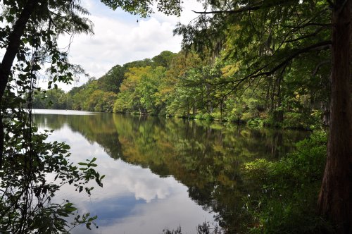 A serene lake surrounded by lush green trees, reflecting the sky and foliage on its calm surface.