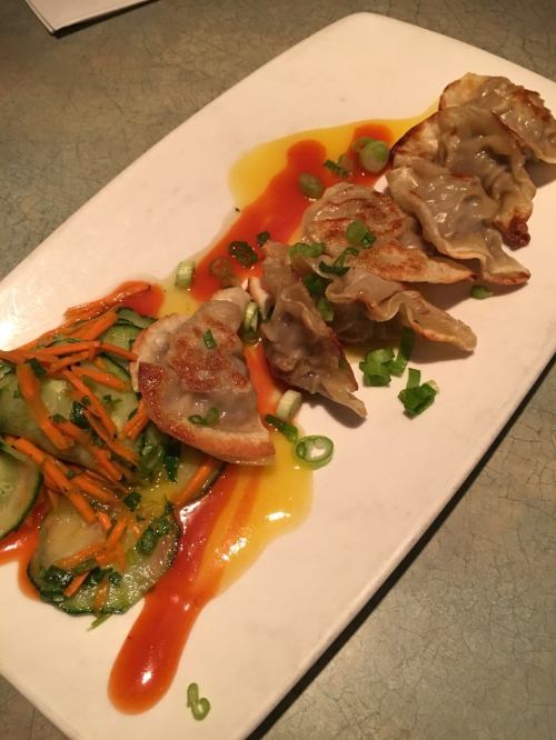 A plate of dumplings with a colorful sauce, garnished with green onions, alongside a fresh vegetable salad.