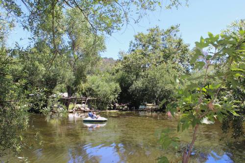 A person in a small boat paddles on a calm, green-tinted river surrounded by lush trees and foliage.